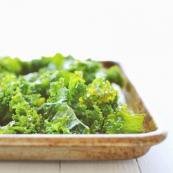 Sea Salt & Vinegar Kale Chips