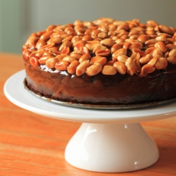 Caramel Peanut Topped Brownie Cake