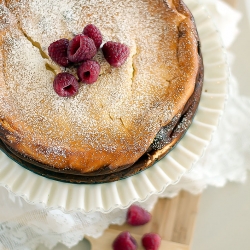 Lemon Ricotta Cheesecake