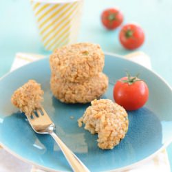 Tempeh Cakes