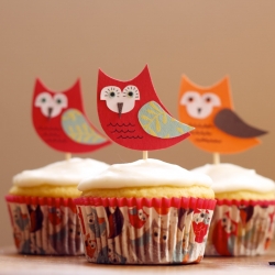 Owl Cupcakes