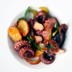 Baby Octopus Salad