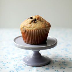 Chocolate Chip Muffin