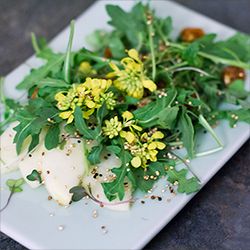 Wild Arugula Salad