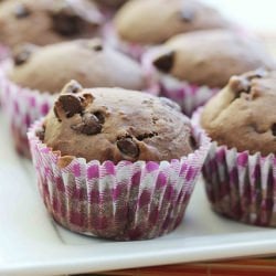 Chocolate Chip Muffins