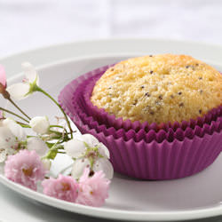 Lemon Chia Seed Muffins