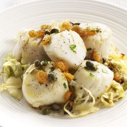 Scallops and Cabbage