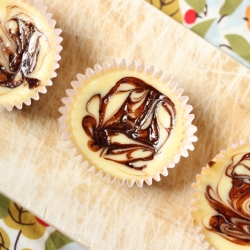 Chocolate Swirl Cheesecake Cupcakes