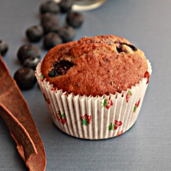 Blueberry Banana Muffins