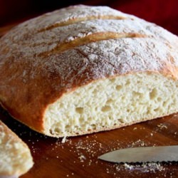 No Knead Artisan Bread