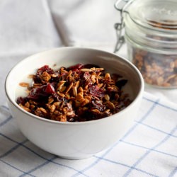 Cranberry and Chocolate Granola