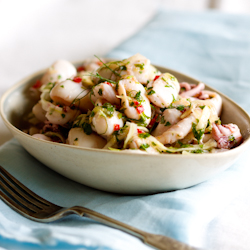 Marinated Calamari & Fennel Salad