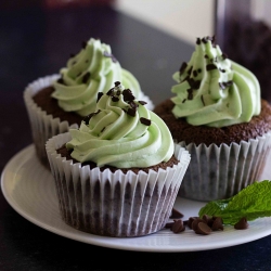 Mint Choc Chip Cupcakes