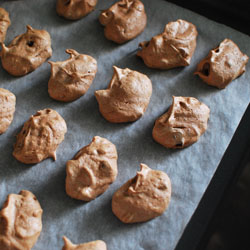 Chocolate Chip Meringue Cookies