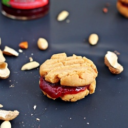 Peanut Butter and Jelly Sandwich