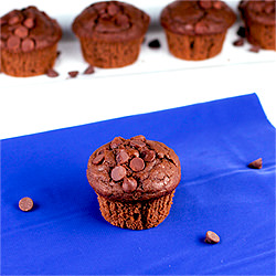 Chocolate Chocolate Chip Muffins