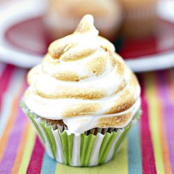 Baked Alaska Cupcakes