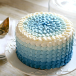 Blue Ombre Petal Cake – Tutorial