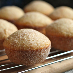 Doughnut Muffins