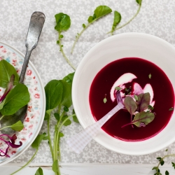 Beet Root Soup