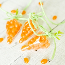 Carrot Jelly Bean Favors