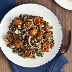 Lentil and Picon Cheese Salad