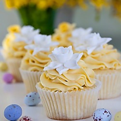 Lemon Daffodil Cupcakes