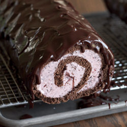 Chocolate Ice Cream Cake Roll