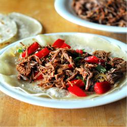 Shredded Beef Tacos