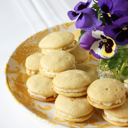 Meyer Lemon Whoopie Pies