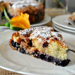 Blueberry Buckle Cake