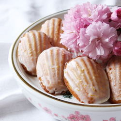 Meyer Lemon Madeleines