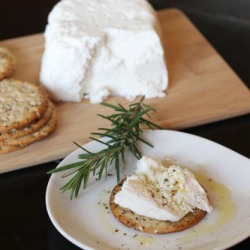 Homemade Chevre