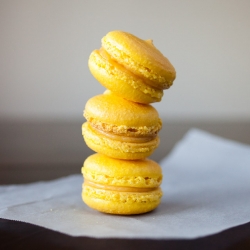 Lemon Macarons