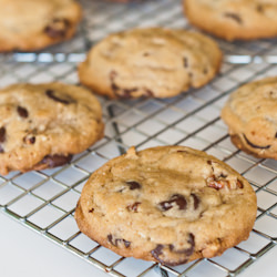 Best Ever Chocolate Chip Cookies