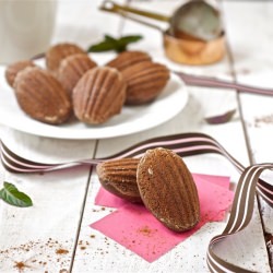 Chocolate Madeleines