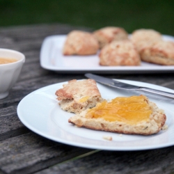 Ginger Scones with Grapefruit Curd