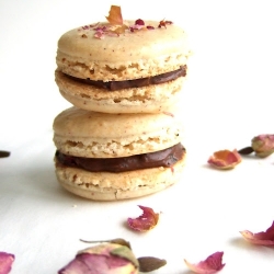 Rose macarons