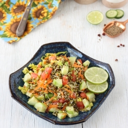 Sprouted Mung Bean Salad