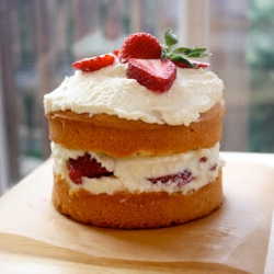 Japanese Strawberry Shortcake