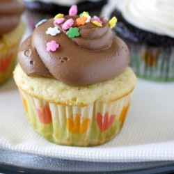 Chocolate Cloud Frosting