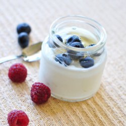 Homemade Yogurt