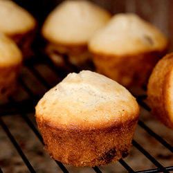 Chocolate Chip Ginger Muffins