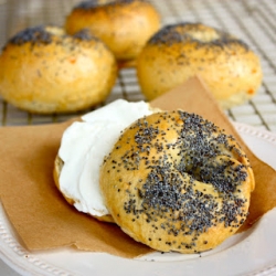 Orange Poppyseed Bagels