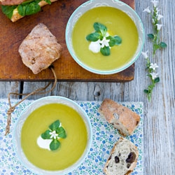 Fennel and Green Pea Soup