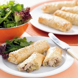 Chicken and Mushroom Phyllo Rolls