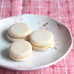 Mango Macarons