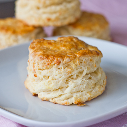 Fluffy Mozzarella Biscuits