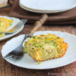 Zucchini & Squash Squares