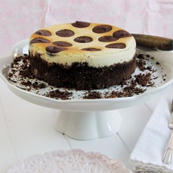 Nutella Polka Dot Cheesecake